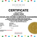 Resmi büyüt: certificate 5