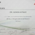 Resmi büyüt: certificate 16