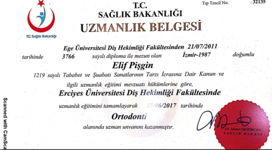 Elif Pişgin-0
