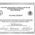 Resmi büyüt: certificate 13