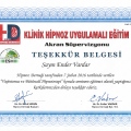 Resmi büyüt: certificate 9