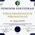 Resmi büyüt: certificate 28