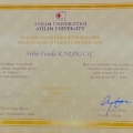 Resmi büyüt: certificate 6
