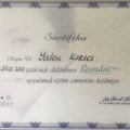 Resmi büyüt: certificate 2