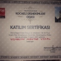 Resmi büyüt: certificate 10