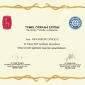 Resmi büyüt: certificate 54