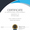 Resmi büyüt: certificate 2