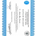 Resmi büyüt: certificate 15