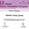 Resmi büyüt: certificate 23
