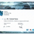 Resmi büyüt: certificate 31
