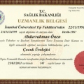 Resmi büyüt: certificate 1