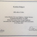Resmi büyüt: certificate 19