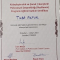 Resmi büyüt: certificate 2