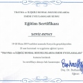 Resmi büyüt: certificate 9