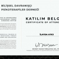 Resmi büyüt: certificate 4