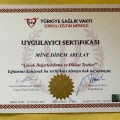 Resmi büyüt: certificate 11