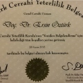 Resmi büyüt: certificate 8
