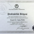 Resmi büyüt: certificate 8