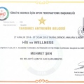 Resmi büyüt: certificate 9
