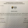 Resmi büyüt: certificate 6