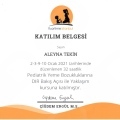 Resmi büyüt: certificate 5