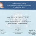 Resmi büyüt: certificate 3