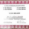 Resmi büyüt: certificate 29