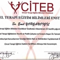 Resmi büyüt: certificate 2