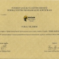 Resmi büyüt: certificate 1