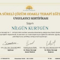 Resmi büyüt: certificate 13