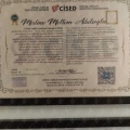 Resmi büyüt: certificate 9