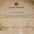 Resmi büyüt: certificate 17