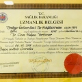 Resmi büyüt: certificate 3