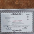 Resmi büyüt: certificate 35