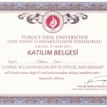 Resmi büyüt: certificate 16