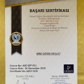 Resmi büyüt: certificate 12