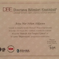 Resmi büyüt: certificate 10