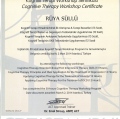 Resmi büyüt: certificate 4