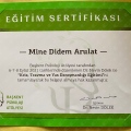 Resmi büyüt: certificate 13