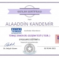Resmi büyüt: certificate 2