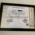 Resmi büyüt: certificate 6
