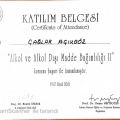 Resmi büyüt: certificate 13