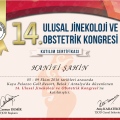 Resmi büyüt: certificate 2