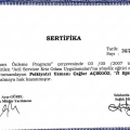 Resmi büyüt: certificate 25