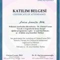 Resmi büyüt: certificate 6