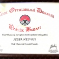 Resmi büyüt: certificate 9