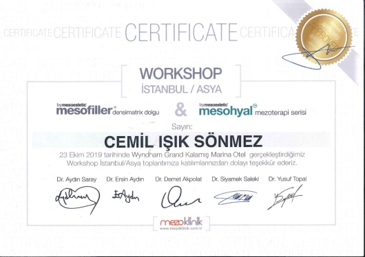 Cemil Işık Sönmez-2