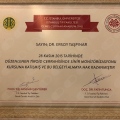 Resmi büyüt: certificate 17