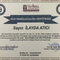 Resmi büyüt: certificate 13