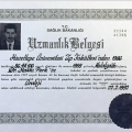 Resmi büyüt: certificate 6
